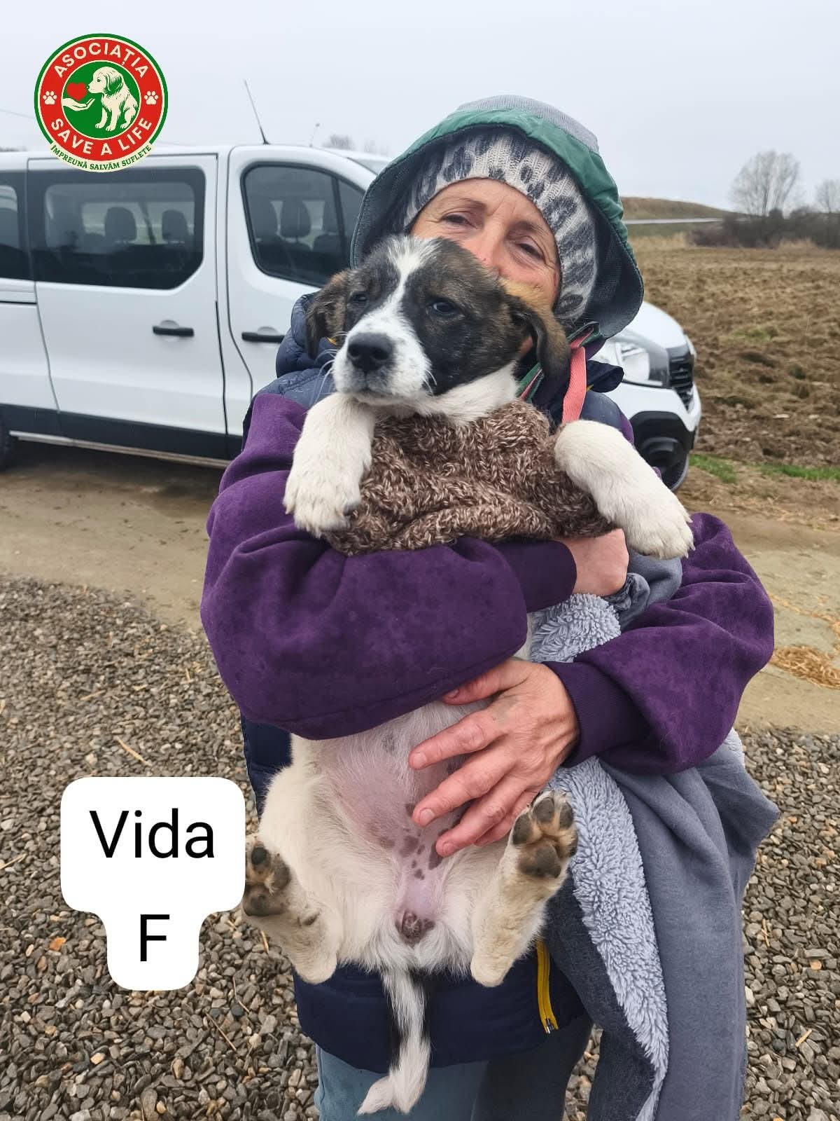 Vida