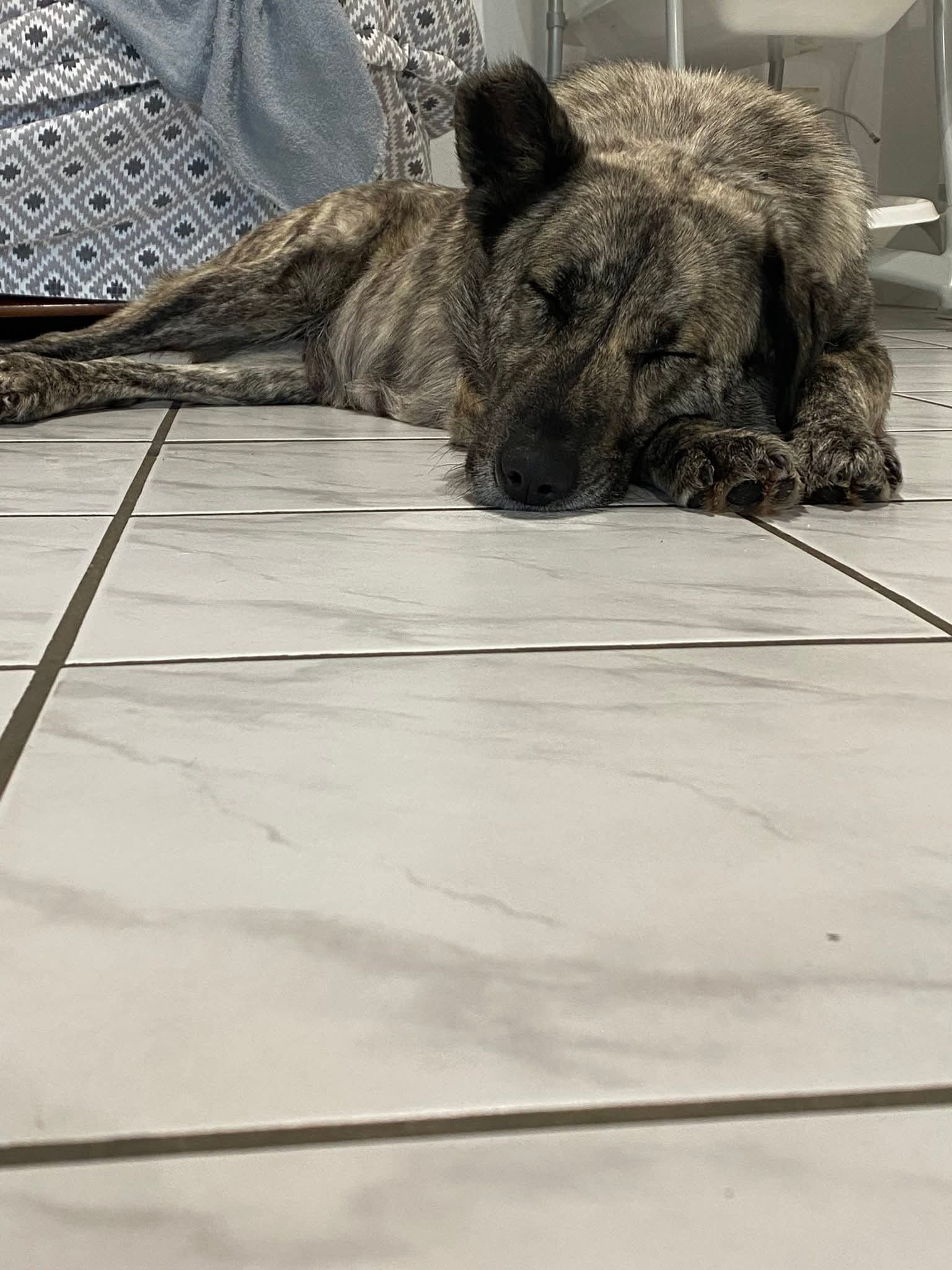 Bella