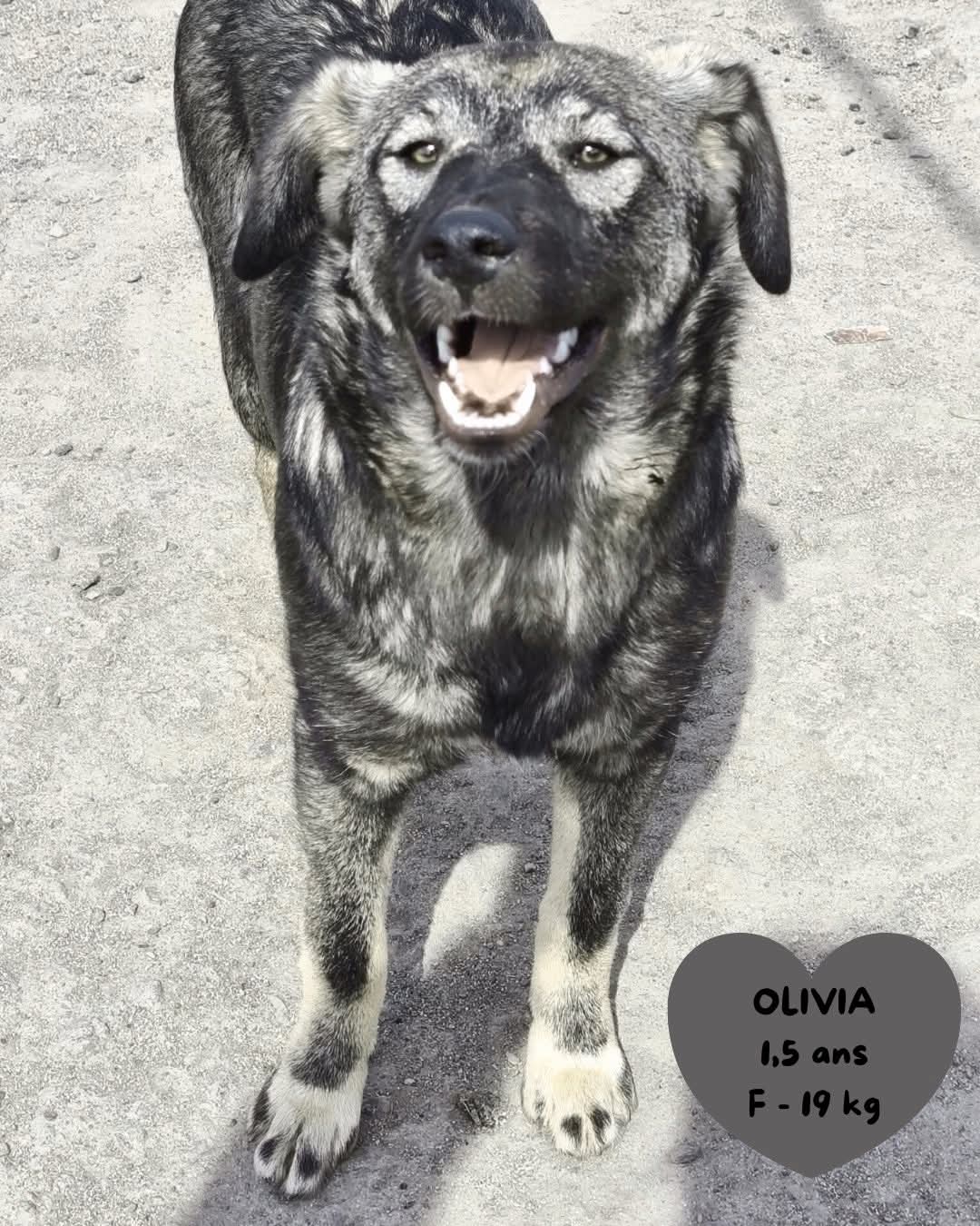 Olivia