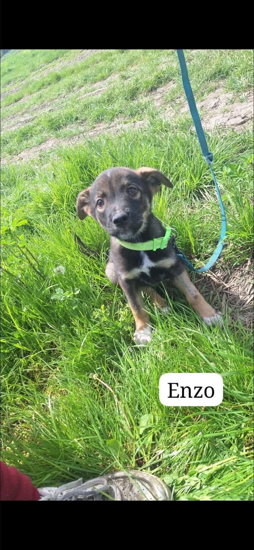 Suzanne,Enzo et Laila - 286